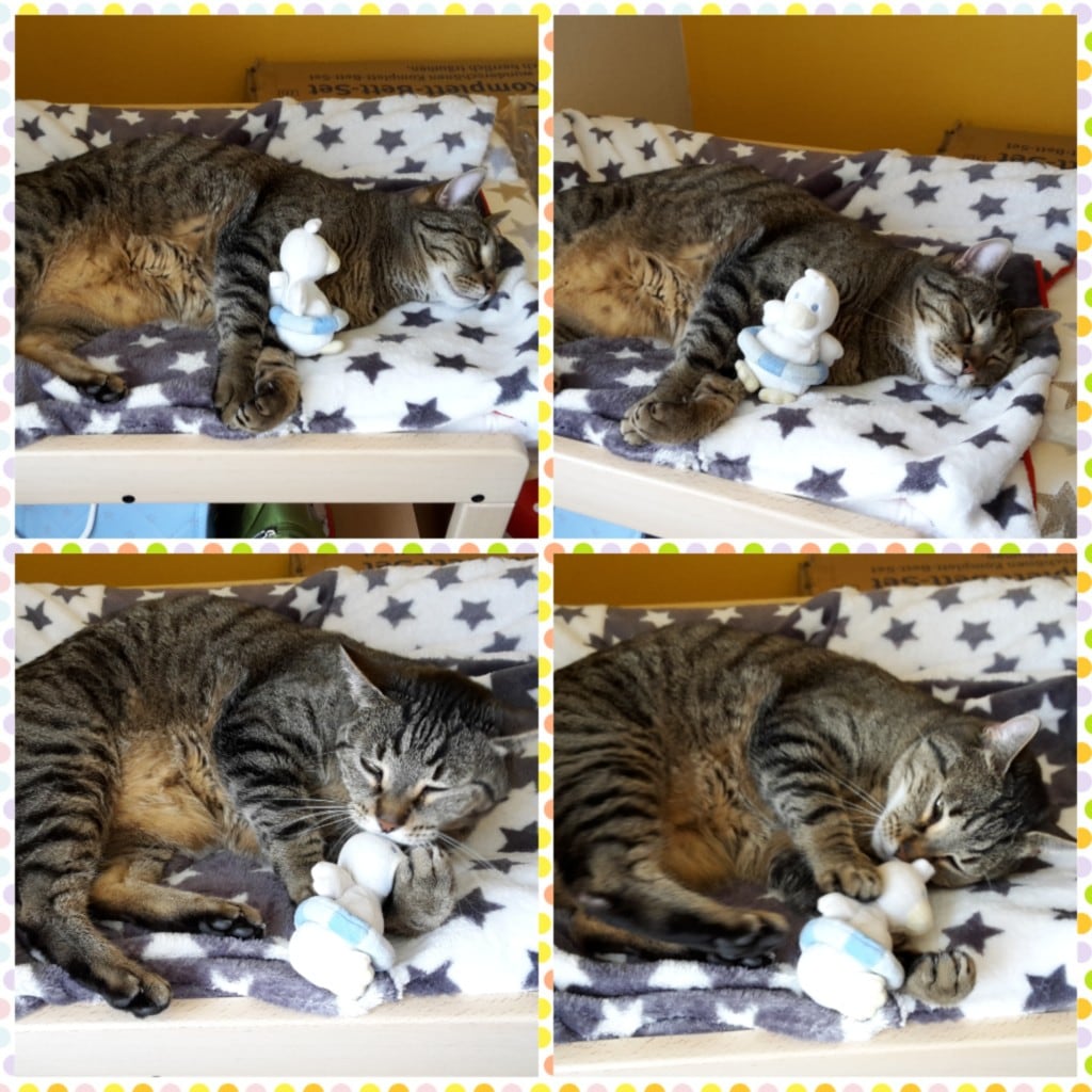 CYMERA_20160526_120725