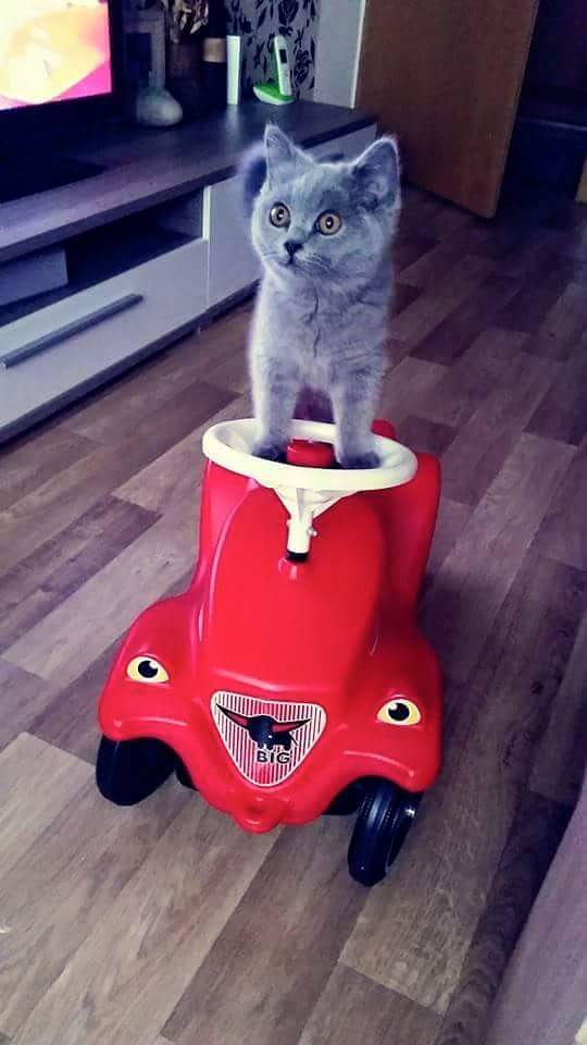 FB_IMG_1466232435102