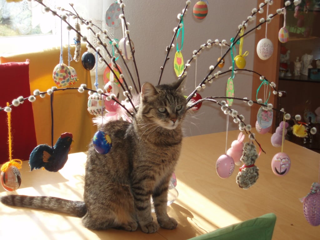 Osterkatze_1