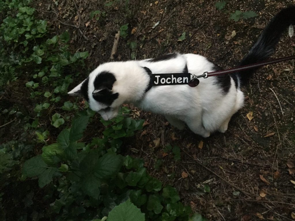 image29