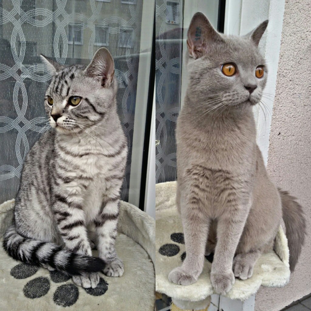 PicsArt_04-04-03.22.12