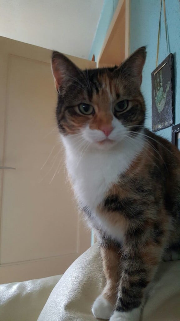 betty
