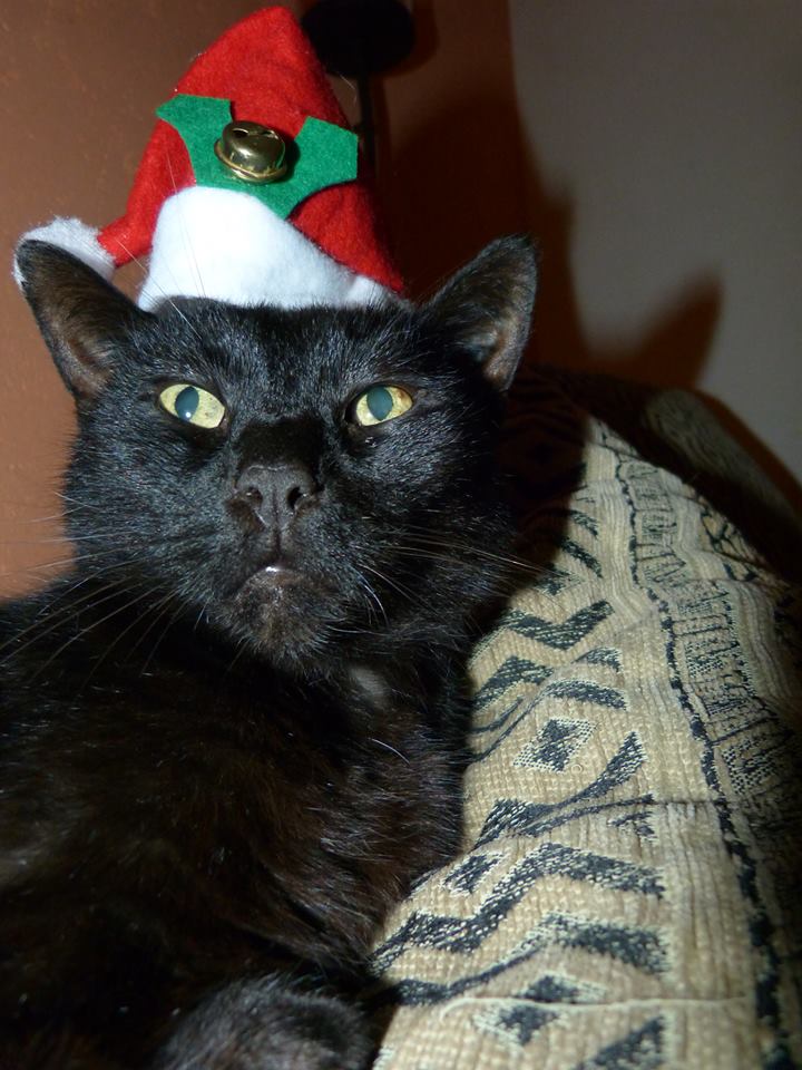 X-Mas-2015-21
