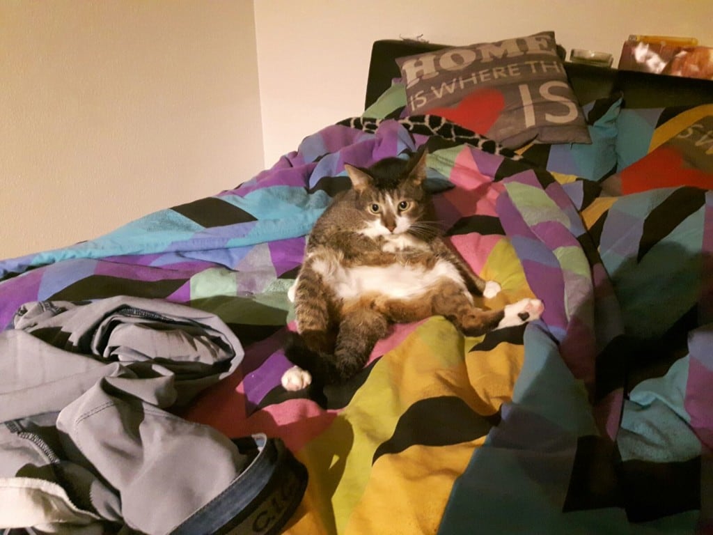 IMG-20160122-WA0004