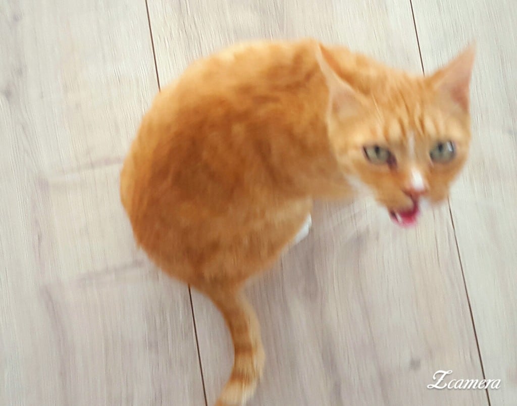 zcamera-20161109_154429