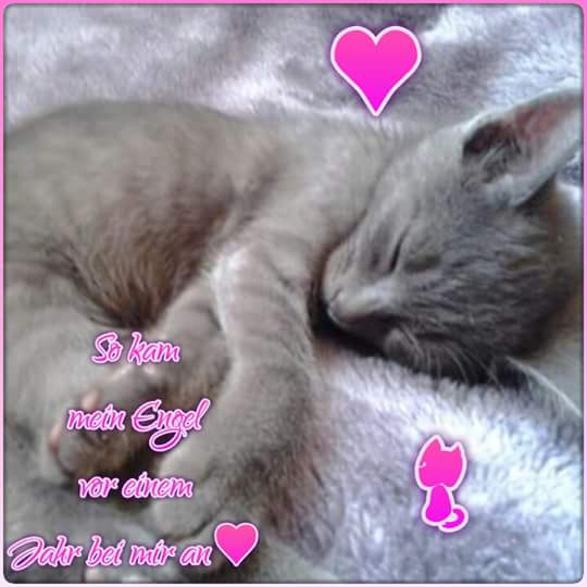 FB_IMG_1442464251364