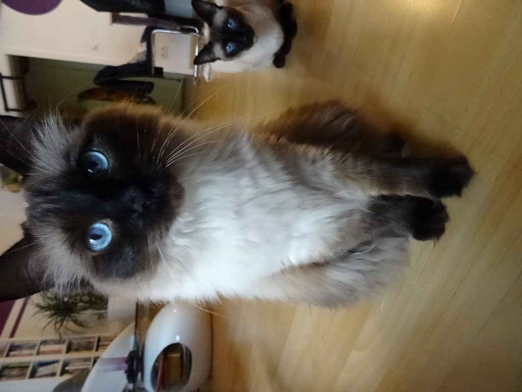 DSC00025