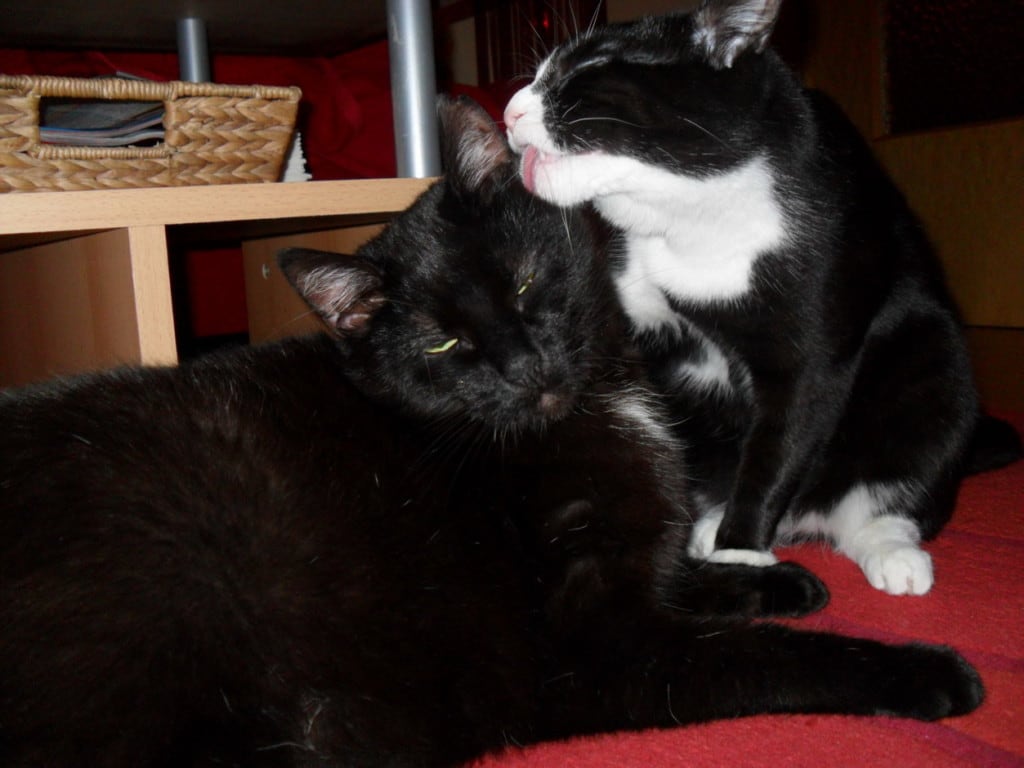 LIEBE