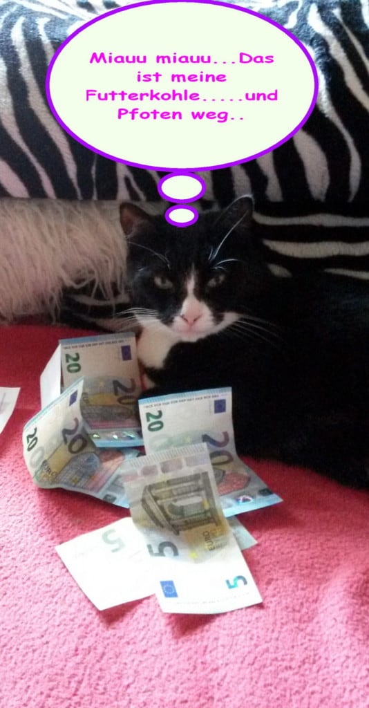 Miauuuu