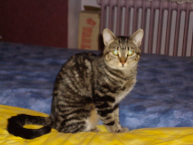 DSC01160