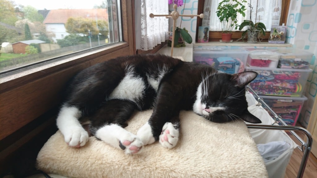 Tex-Chillen