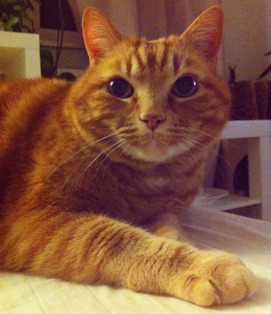 image16