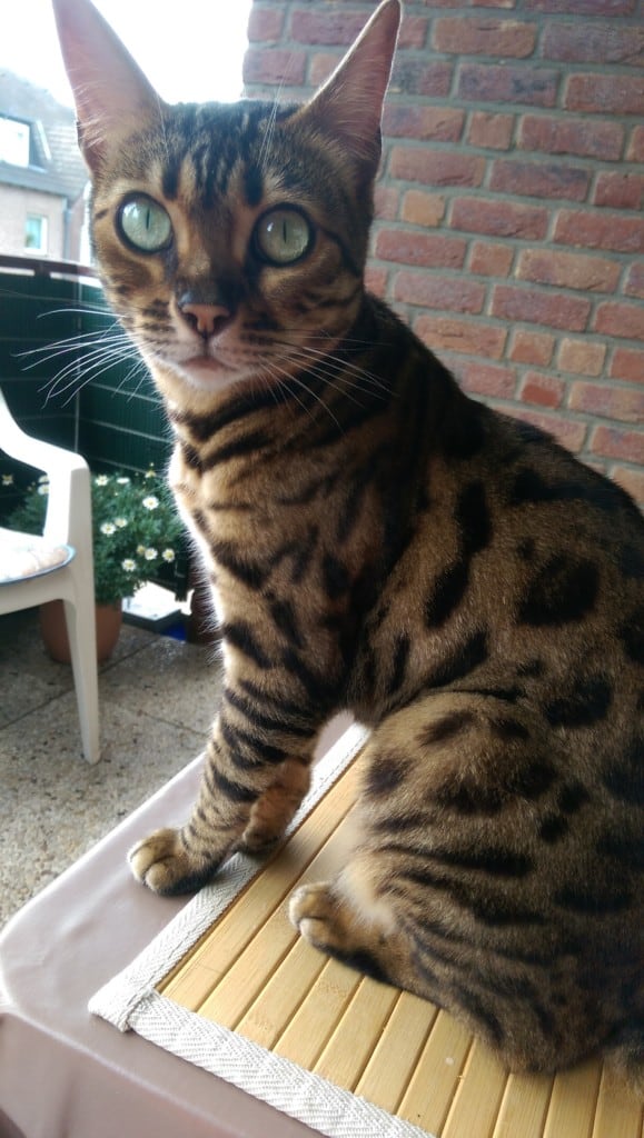 IMAG0244