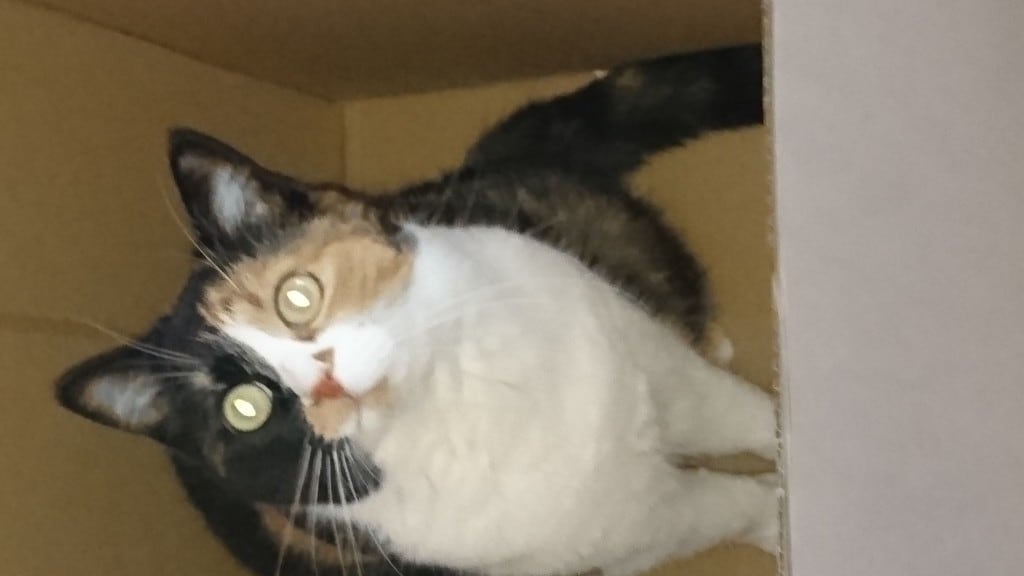 DSC_0192