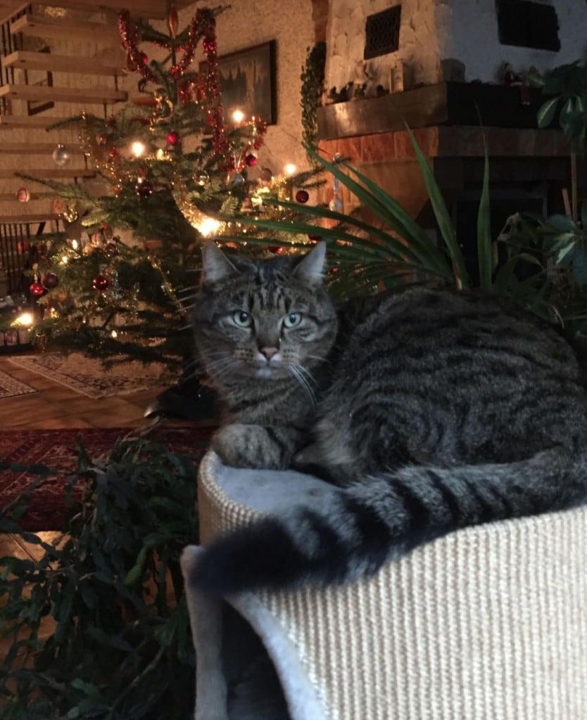 Weihnachten1