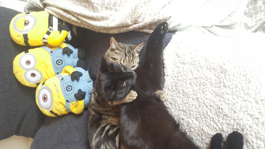 Wir haben uns soooooo lieb