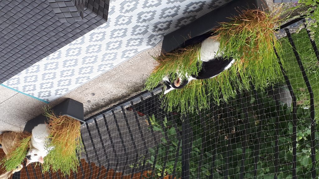 Bleib ja weg von mir