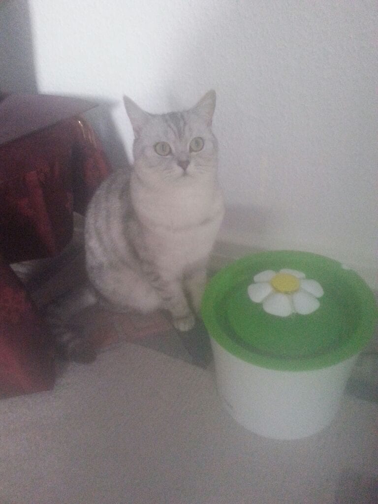 Was guckst du?