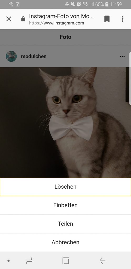 Der kleine Prinz