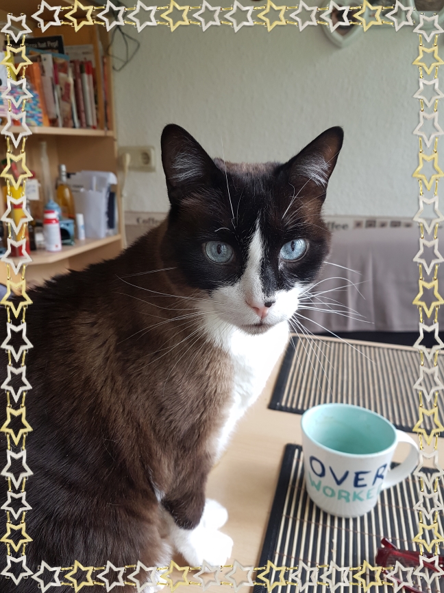 Unser Charly Unser Charly