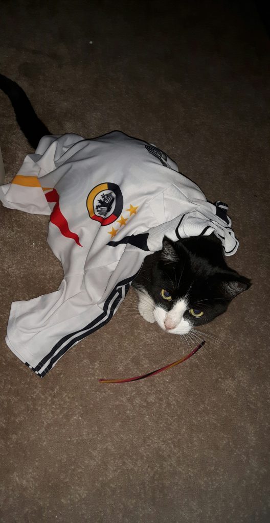 Maskottchen Maskottchen
