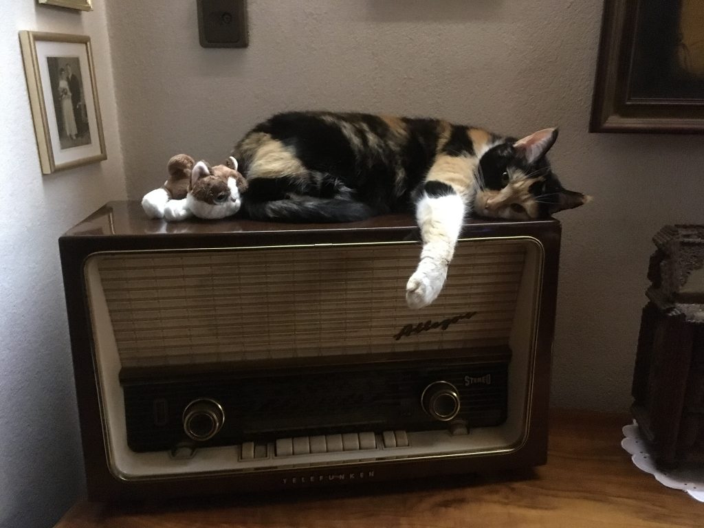 Mimi liebt Musik Mimi liebt Musik