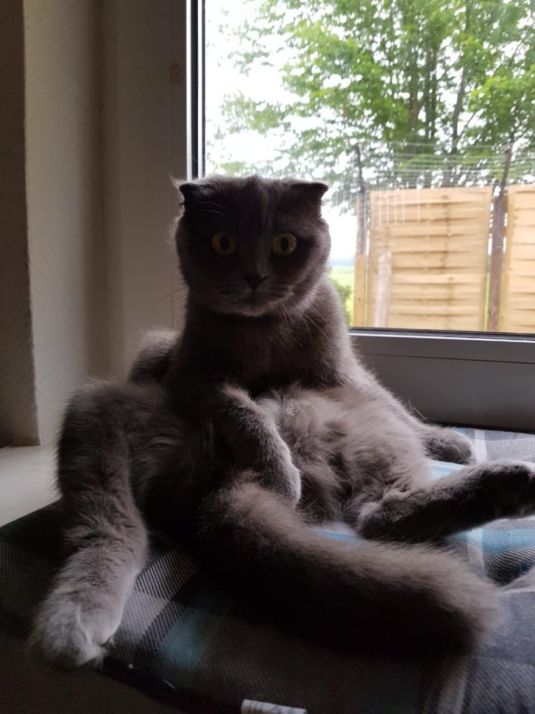 Nu noch ein wenig Chillen :)