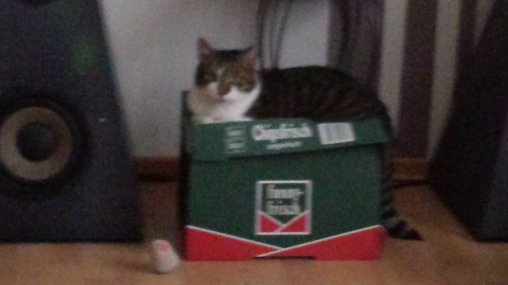 Liebes voll Liebes voll