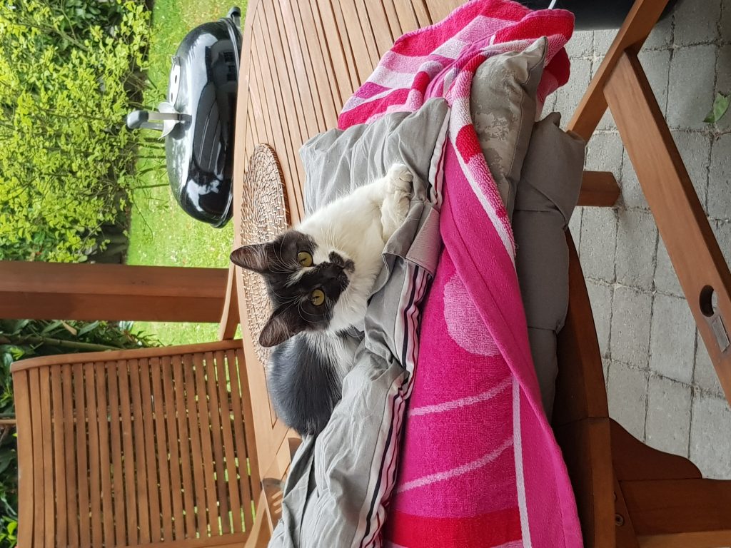 Unser kleines Mädchen... Unser kleines Mädchen...