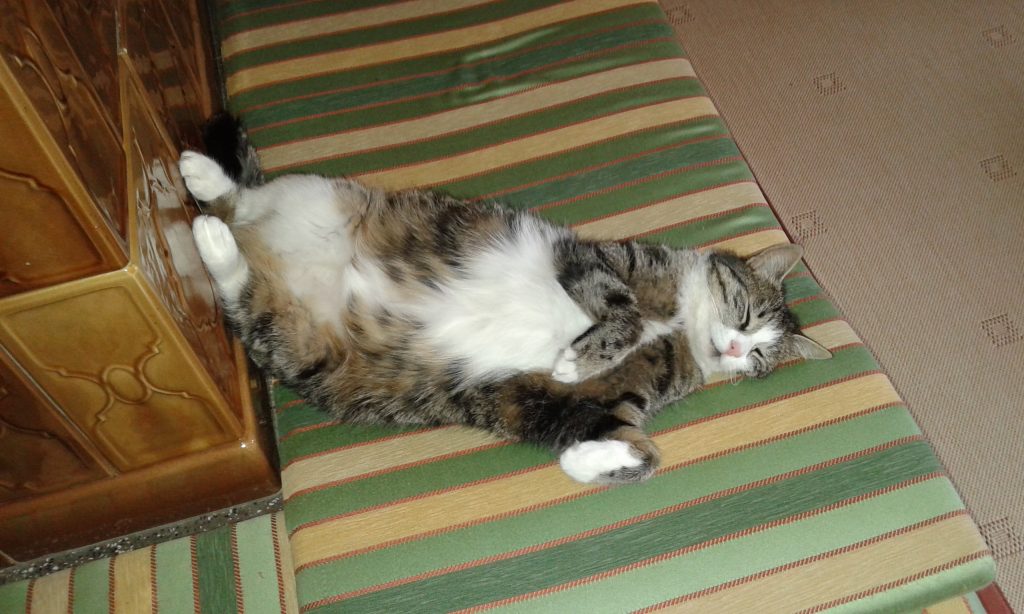Unser Liebling