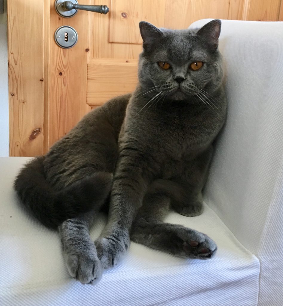 Mein Platz