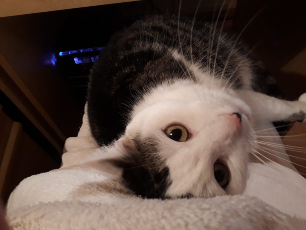 Kuschelzeit Kuschelzeit