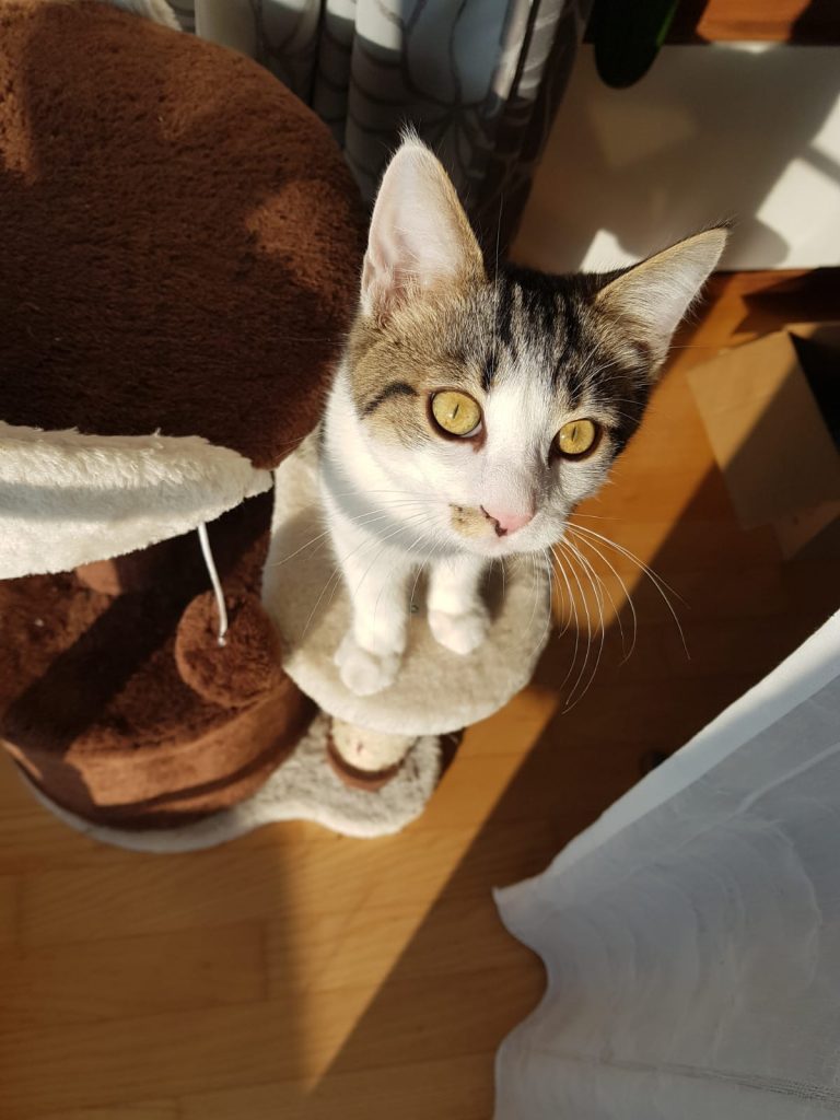 Jimmy liebt die Morgensonne!!!!