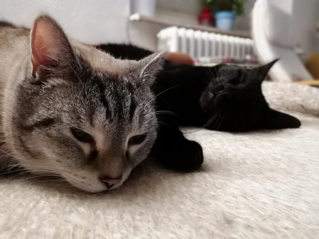 Feierabend 😊